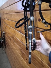Circle Y Silver Show Headstall