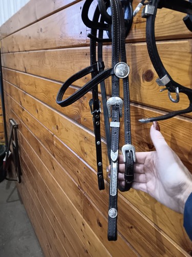 Circle silver show - show, headstall