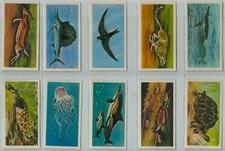 Brooke bond full set 50 - full, set,