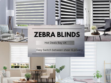 Day & Night Roller Window Dual