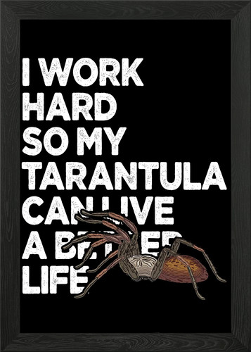 Tarantula owner funny framed - tarantula,