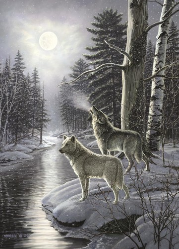 Cobble hill wolves - hill, by