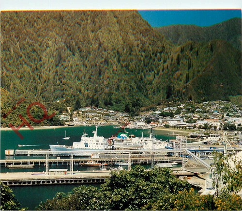 Picture postcard new zealand - picture, postcard::new