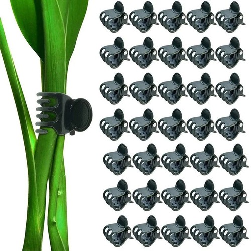 Claw plant clips climbing stem - claw,