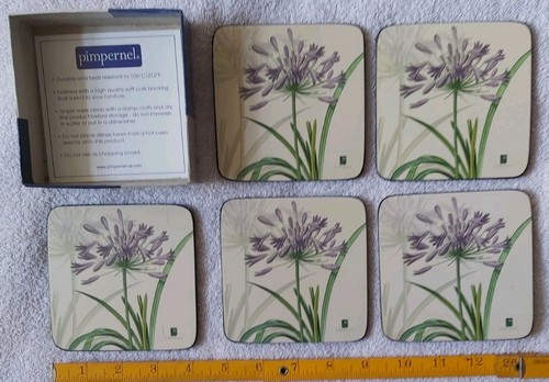 Pimpernel rhs agapanthus - pimpernel,