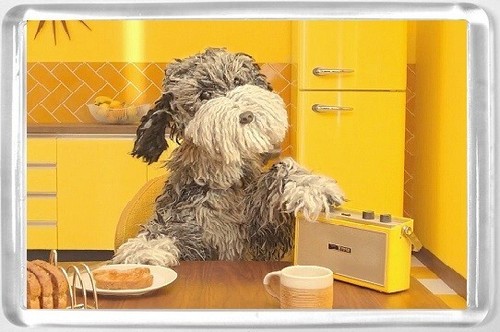 Dog fridge magnet listening - aa,