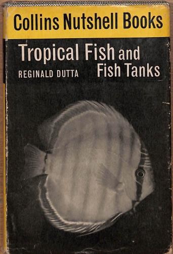 Collins nutshell book - nutshell, 49