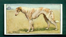 MIRANDA - DOGS, no.11 BORZOI, 1925 ISSUE TYPE CARD