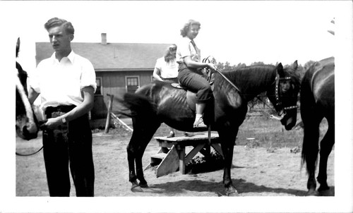 Horseback training jack - horseback,