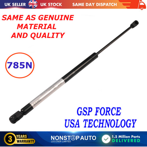 Rear tailgate gas struts - rear,