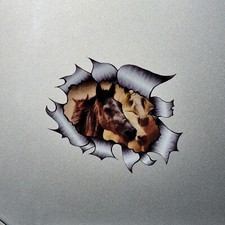 Beautiful Horses Ripped Open