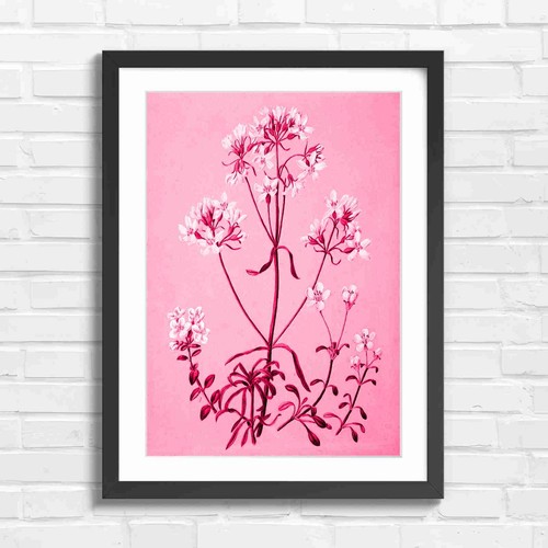 Delicate white botanical - delicate,