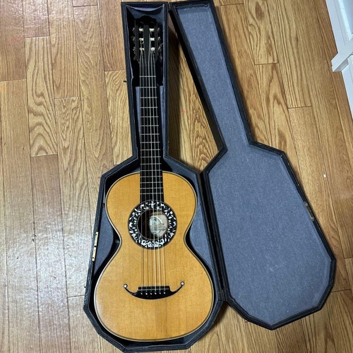 Antique guitar coffin - coffin, case
