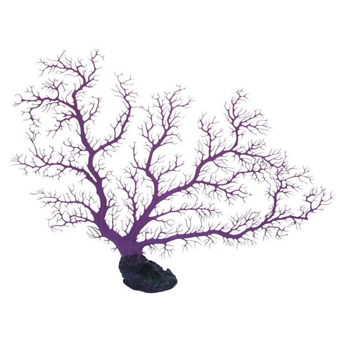 Sea fan coral purple - ra,