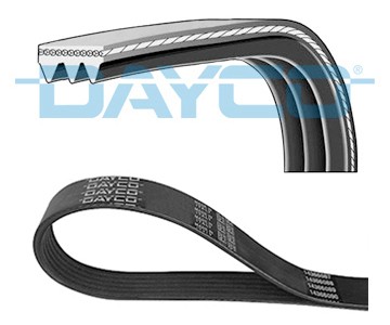 Dayco 3pk800 ribbed - dayco-oe, v-ribbed