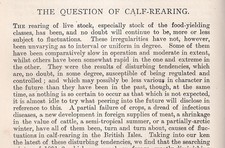 CALF-REARING. AN ORIGINAL