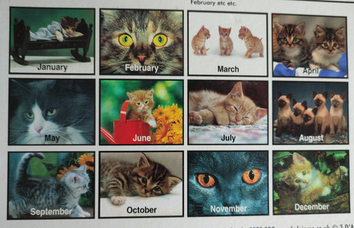 Puzzle month cat - puzzle, jigsaw
