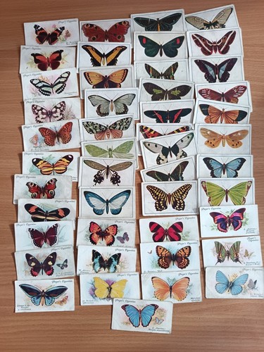 Mixed butterflies vintage - butterflies,