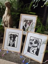 greyhound lurcher dog Black