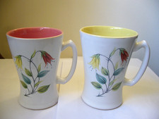 LANGLEY DENBY 2 X FLORAL MUGS