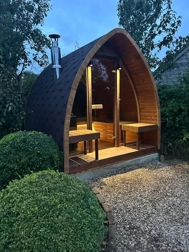 Wood fired harvia electric - wood,