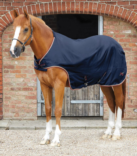 Premier equine horse - premier,