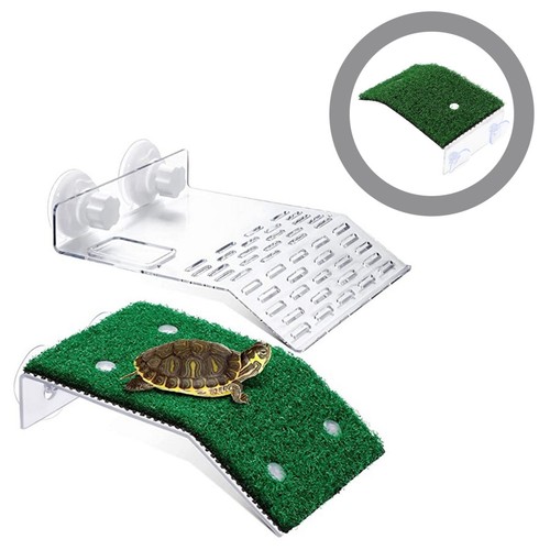 Pcs turtle dock large supply - 2,