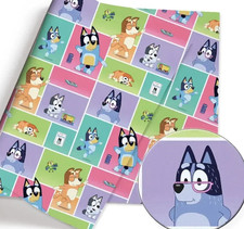 Bluey Bingo children character