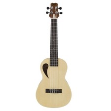 Peavey Composer Acoustic