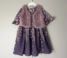 Next Folksy Floral Dress  &