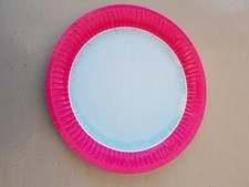 Party Paper Plates Pink & Blue