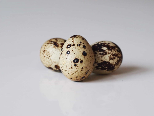 Jumbo quail eggs - x,