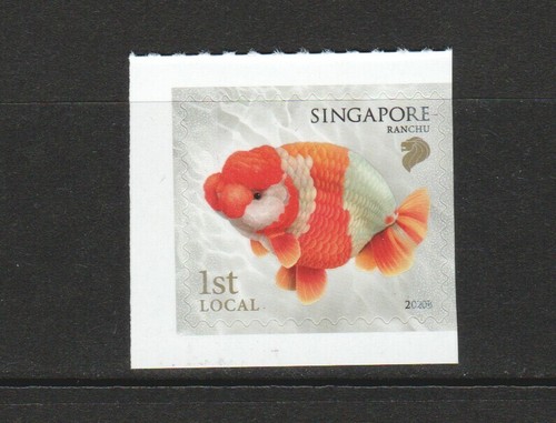 Singapore 2020 goldfish 1st - singapore,
