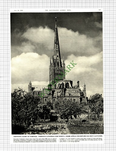 Norwich cathedral norfolk - cathedral,