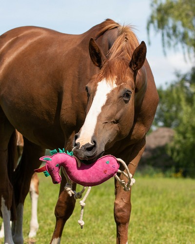 Qhp horse toy - qhp,