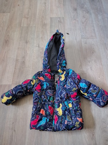 Month dinosaur coat - month,