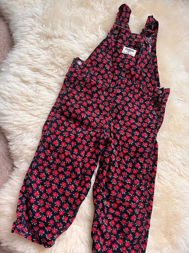 24m oshkosh vintage - oshkosh, girls