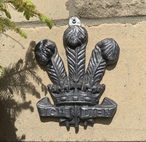 Prince wales feathers lead - feathers,