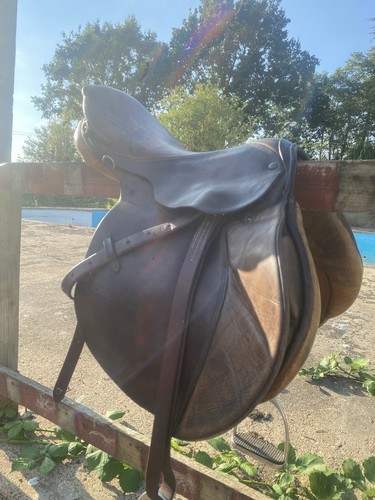 Stubben siegfried jump - stubben, ii