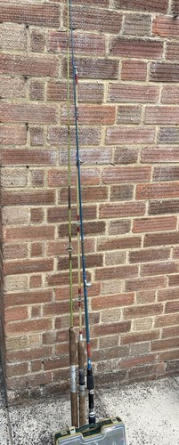 Spinning rods pike - rods, or