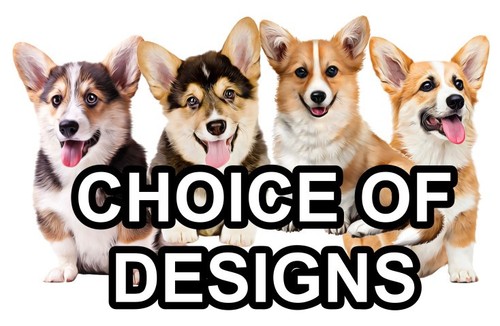 Pembroke welsh corgi self - welsh,