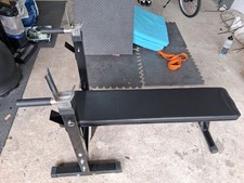 Adjustable Bench Press for Standard Bar with Dip Bars for Home Gym