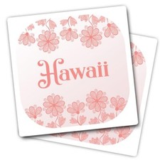 2x Vinyl Stickers Hawaii