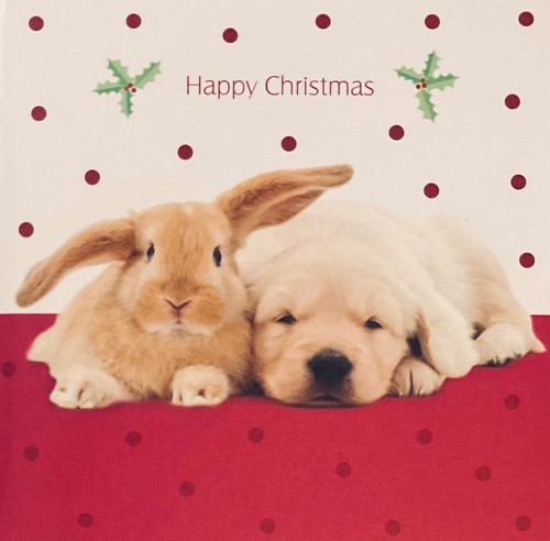 Pack small mini - small, christmas