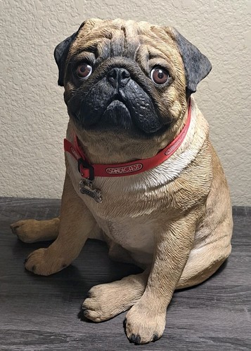 Rare sandicast pug - rare, life