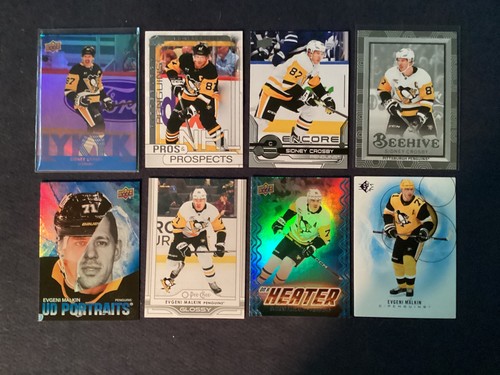 Pittsburgh penguins hockey - pittsburgh,