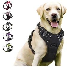 Dog Collar Harness Leash Set