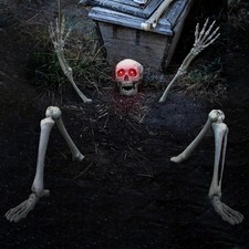 Skeleton Groundbreaker