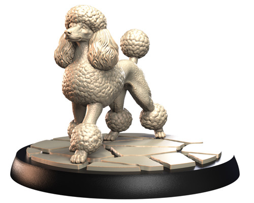 Dogs2 poodle 2 - dogs2,
