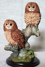 Country Artists Tawny Owl